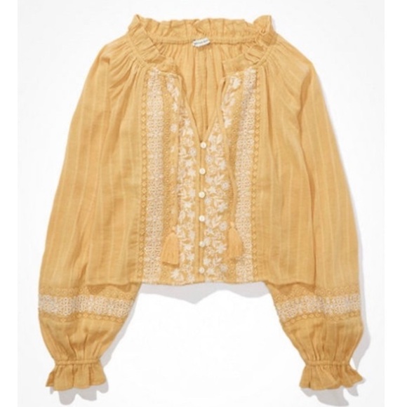 American Eagle Outfitters Tops - Embroidered cropped top